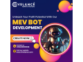 mev-bot-development-company-at-low-cost-small-0