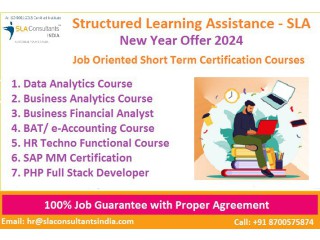 Accounting Training Institute in Delhi, 2024 Offer 100% Placement in MNC, Free SAP Finance Course in New Delhi, [100% Job, Update New Skill in '24]