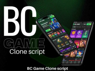 best-bc-game-clone-script-with-beleaftechnologies