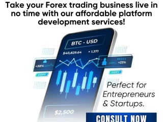 build-a-robust-forex-trading-system-at-unbeatable-prices