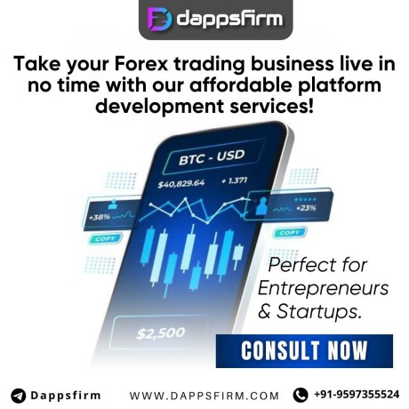 build-a-robust-forex-trading-system-at-unbeatable-prices-big-0