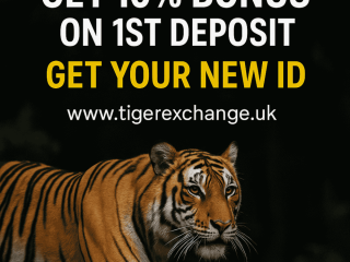 best-tiger-exchange247-betting-platform-sign-up-today
