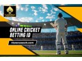 cricket-betting-id-guide-turbo-bonus-and-pro-benefits-small-0