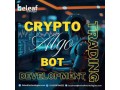 custom-crypto-algo-trading-bot-development-automate-your-profits-today-small-0