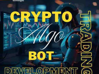 custom-crypto-algo-trading-bot-development-automate-your-profits-today