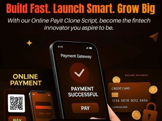 step-into-the-payment-gateway-market-with-payit-clone-app-for-fast-growth