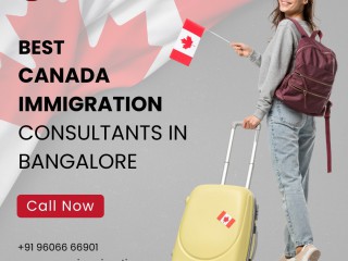turn-your-canadian-dream-into-reality-with-novus-immigration