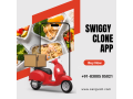 launch-your-own-food-delivery-app-like-swiggy-small-0