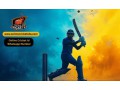stay-updated-the-importance-of-having-an-online-cricket-id-whatsapp-number-small-0