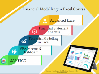 financial-modelling-training-course-in-delhi110087-best-online-live-financial-analyst-training-in-faridabad-by-iit-faculty-100-job-in-mnc
