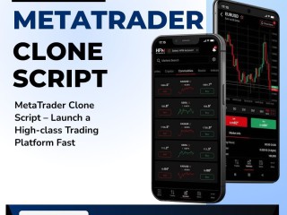 create-a-custom-forex-trading-hub-quickly
