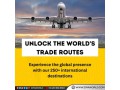 efficient-air-freight-solutions-connecting-your-cargo-across-borders-small-0