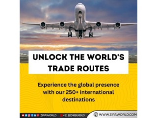 Efficient Air Freight Solutions: Connecting your cargo across borders.