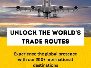 efficient-air-freight-solutions-connecting-your-cargo-across-borders