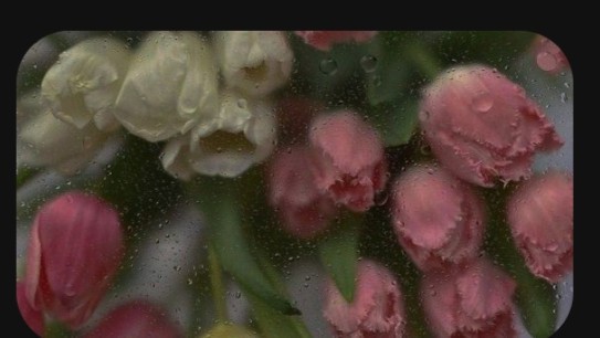 may-your-skin-shine-like-you-big-0