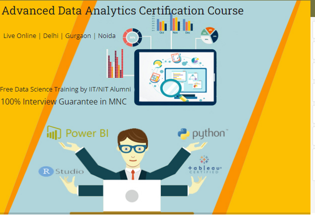 mnc-skills-india-data-analyst-certification-training-in-delhi-110018-100-job-update-new-mnc-skills-in-24-sla-consultants-india-big-0