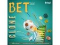 make-money-while-others-bet-bet365-clone-gets-you-there-small-0