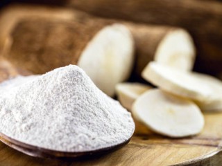 leading-tapioca-starch-manufacturers-in-india-santosh-starch-product-limited