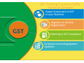 gst-course-in-delhi-110011-gst-update-2024-by-sla-gst-and-accounting-institute-taxation-and-tally-prime-institute-in-delhi-noida-small-0