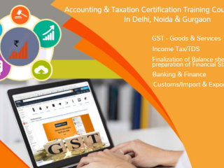 best-gst-course-in-delhi-110070-gst-update-2024-by-sla-accounting-institute-taxation-and-tally-prime-institute-in-delhi-noida