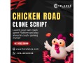get-your-chicken-road-clone-script-at-low-cost-small-0
