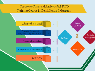 financial-modeling-course-in-delhi110016-best-online-live-financial-analyst-training-in-ghaziabad-by-iit-faculty-100-job-in-mnc