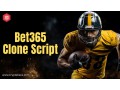 best-bet365-clone-script-for-online-betting-platforms-small-0