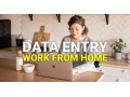 earn-from-home-form-typing-project-7708244092-small-0