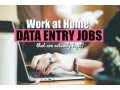 get-data-entry-projects-call-7708244092-small-0