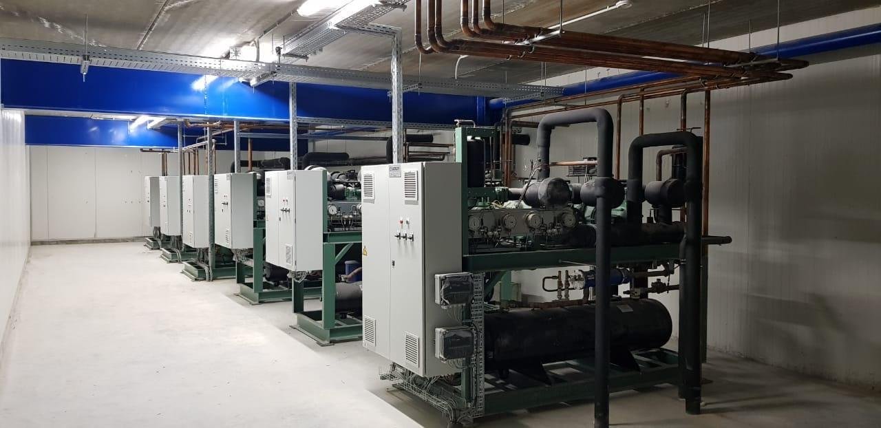 cold-storage-plants-big-1