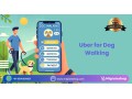 how-to-build-a-dog-walking-app-like-uber-small-0