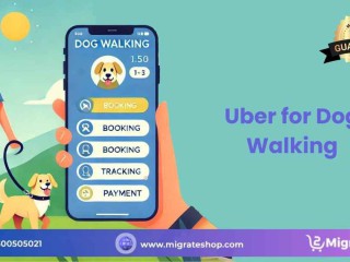 how-to-build-a-dog-walking-app-like-uber