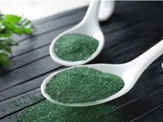 spirulina-farming-business-spirulina-industry-trends-insights