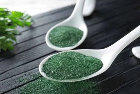 spirulina-farming-business-spirulina-industry-trends-insights-big-0