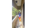 best-housemaid-service-in-bangalore-professional-cleaners-small-1