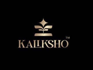 shop-zari-work-suit-kaliksho-creations-llp