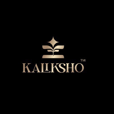 shop-zari-work-suit-kaliksho-creations-llp-big-0
