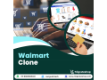 walmart-clone-revolutionizing-the-e-commerce-landscape-for-entrepreneurs-small-0