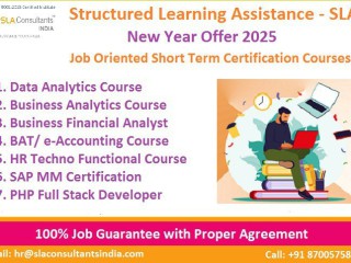 data-analyst-training-course-in-delhi-110087-new-year-offer-2025-free-python-by-sla-consultants-india