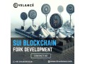 get-a-sui-blockchain-forking-service-from-hivelance-small-0