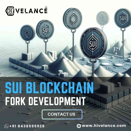 get-a-sui-blockchain-forking-service-from-hivelance-big-0
