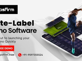 white-label-casino-software-the-smart-way-to-enter-the-gambling-industry