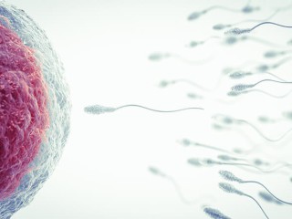 iui-treatment-in-delhi-dr-rhythm-gupta