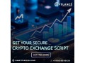 get-your-crypto-exchange-script-with-100-secure-at-low-cost-small-0