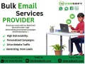 websofy-software-pvt-ltd-powerful-email-campaigns-small-0