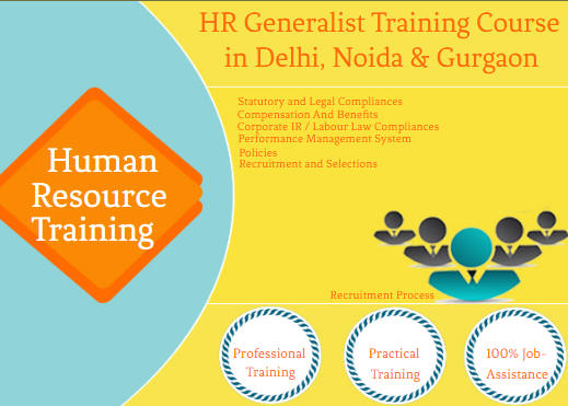 hr-generalist-course-in-delhi-110054-with-icici-certificates-new-year-offer-2025-by-sla-consultants-india-100-job-guarantee-big-0