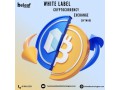 why-is-white-label-cryptocurrency-exchange-software-preferred-over-small-0