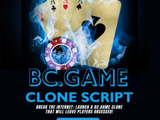 rule-crypto-gaming-with-your-bcgame-casino-clone-the-cheat-code