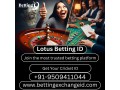 lotus-betting-id-available-now-secure-your-account-small-0