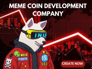 what-opportunities-arise-from-starting-your-meme-coin-journey-with-beleaf-technologies